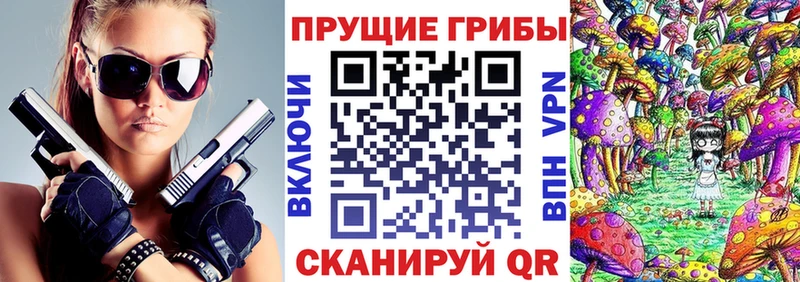 Галлюциногенные грибы GOLDEN TEACHER  где можно купить   Будённовск 