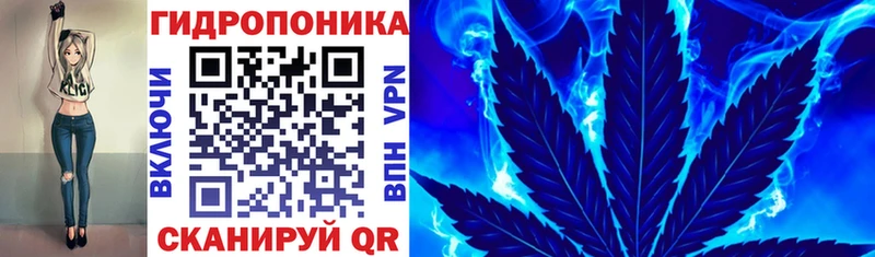 где купить наркоту  Будённовск  Бошки марихуана гибрид 